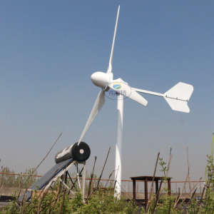 3000W 96V/120V/220V Wind Turbine Generator for Home Use