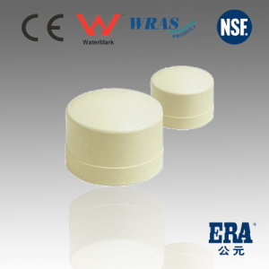 CPVC DIN Standard Fitting End Cap